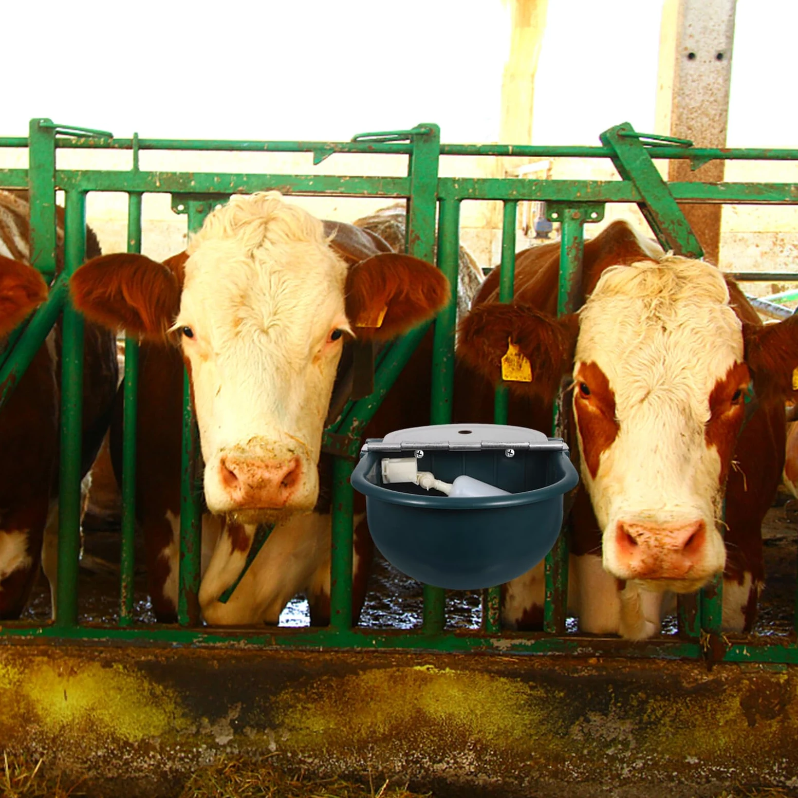 SHINEOFI Bebedero Automático para Animales de Plástico Resistente con Válvula de Flotador y Tubo de Acero Inoxidable de 80 CM para Caballos Vacas Cabras Ovejas y Perros Abrevadero