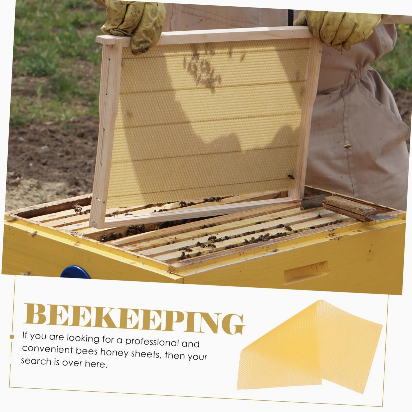 Lámina de Base Encerada para Colmena 30 Piezas de Cera de Abeja | Amarillo, Reutilizable Aroma Suave, Firmeza Media, Base para Apicultura y Panal