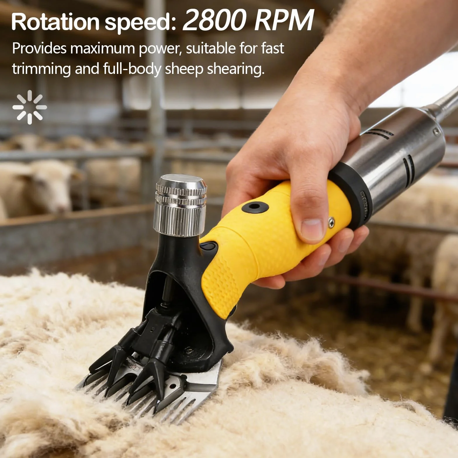 Profesional Esquiladora Ovejas, 850W 2800RPM Cuchilla Recta 13 Dientes Protección Sobrecalentamiento Cable 5M Para Ovejas Alpacas Cabras Eléctrica Potente De Alto Rendimiento