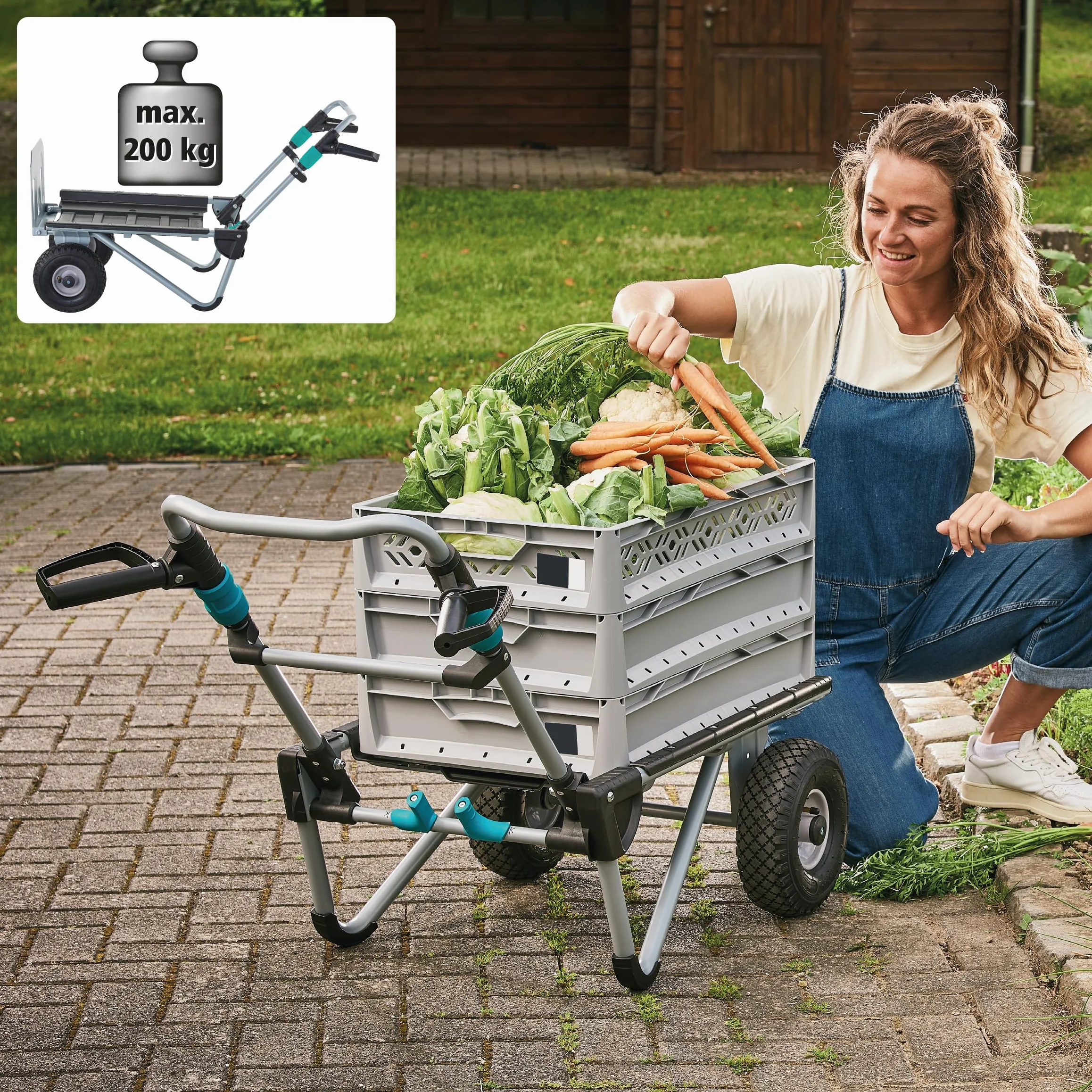 wolfcraft Carro de Transporte TS 2500 I 5535000 I La solución 2 en 1: conversión rápida en Carretilla para Sacos o Carretilla de jardín para un Uso Flexible I 200 Kg de Carga