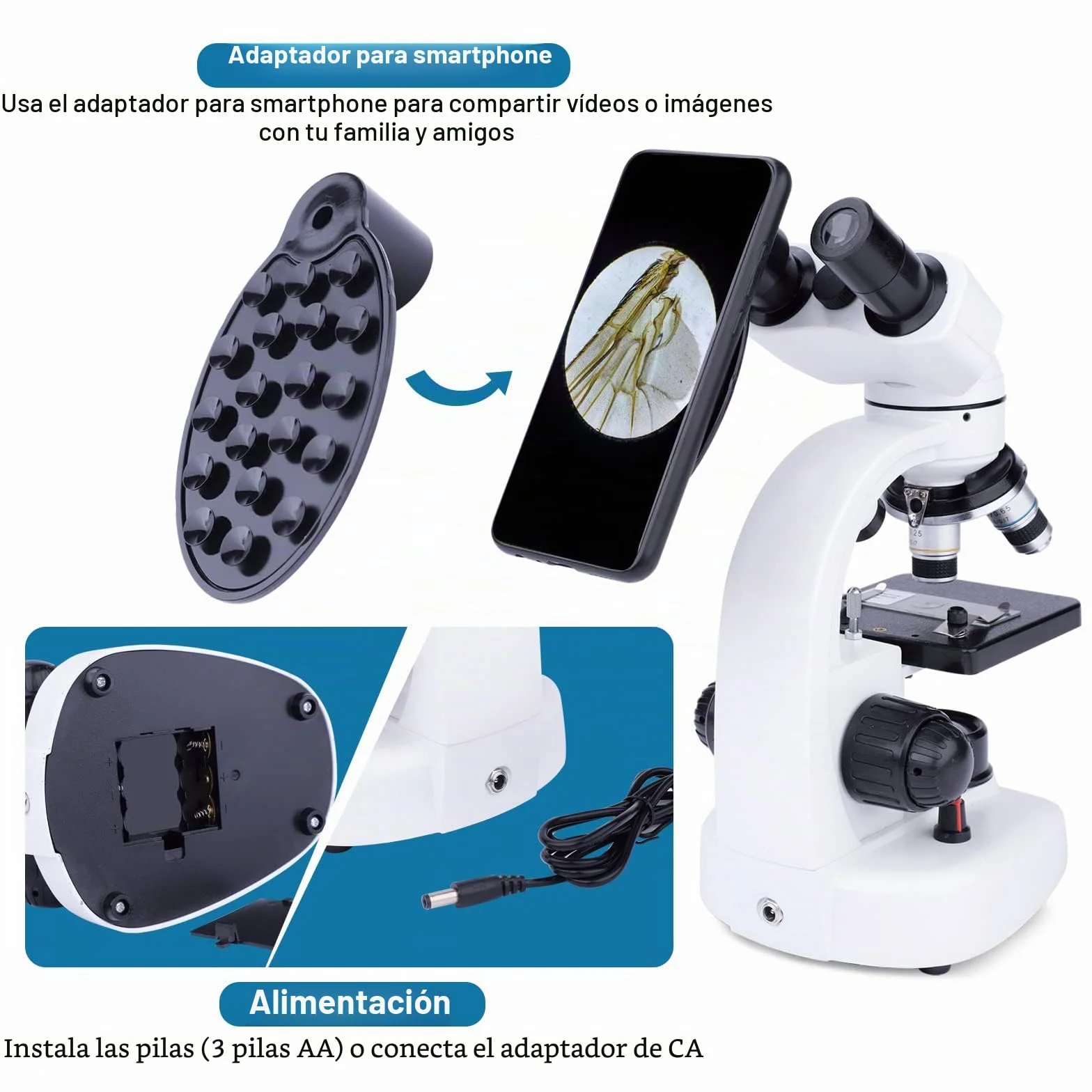 MAXLAPTER Microscopio Binocular para Adultos y Niños - Juego de Microscopio Compuesto 40X-1000X con Muestras y Adaptador de Teléfono Móvil, Adecuado para Uso Escolar en Casa