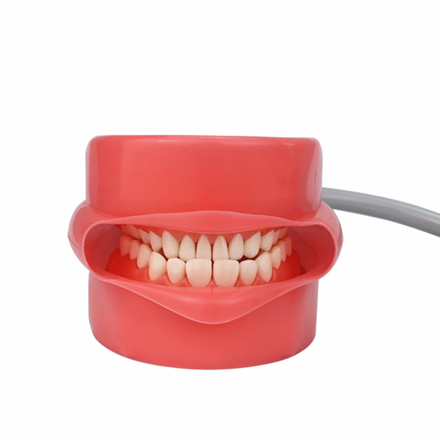 Modelo manual dental de la cabeza del fantasma del simulador del maniquí para el reposacabezas dental de la silla