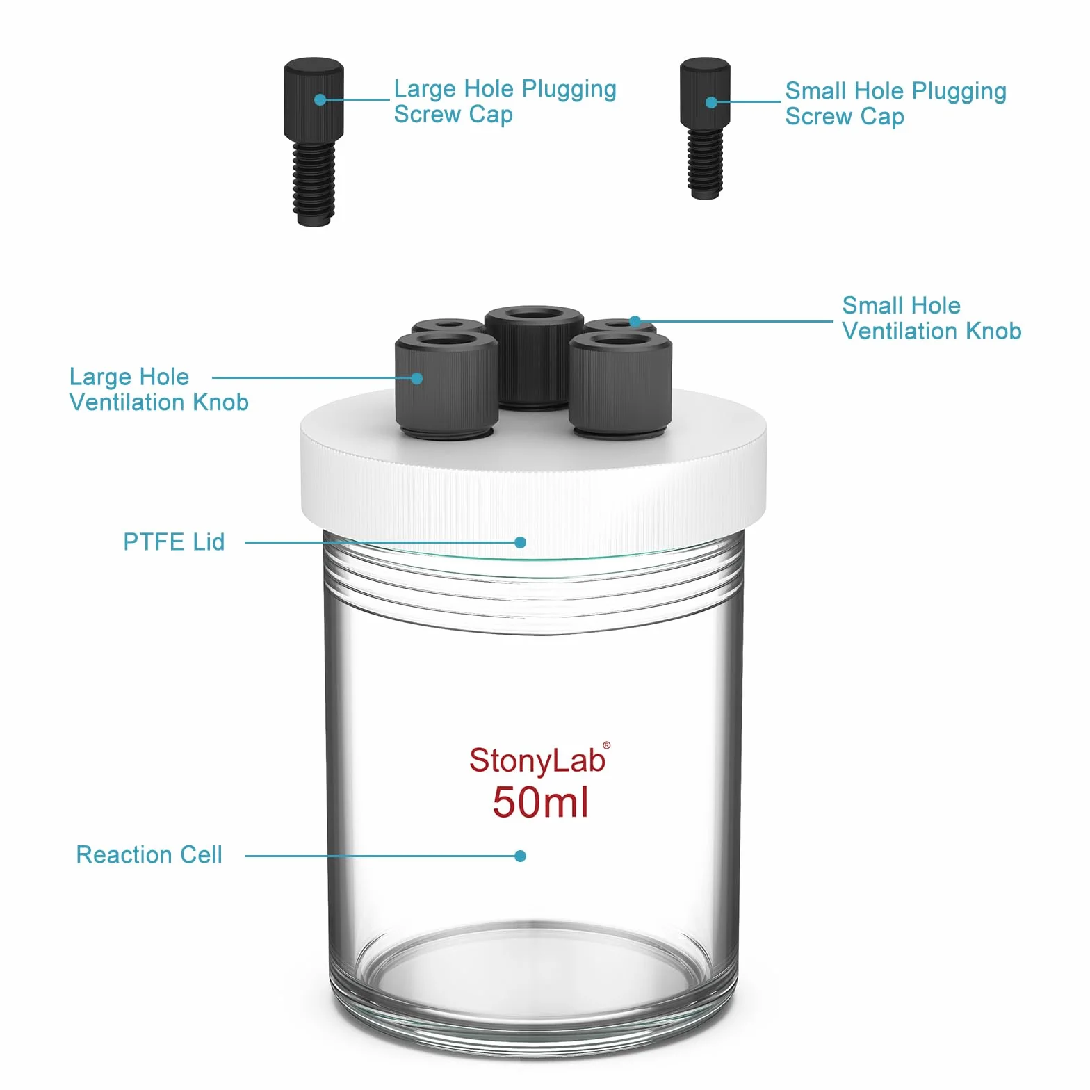 stonylab Celda Electrolítica de Cámara Unica, Vidrio Borosilicato, Kit Reactor Electrolizador con Tapa PTFE 5 Orificios, sin Electrodo, 50 ml
