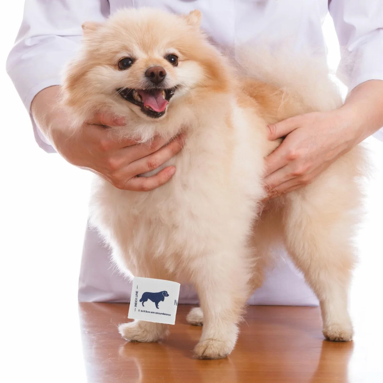 POPETPOP Manguito de presión arterial para animales, tamaño universal, manguito reutilizable de tela no tejida suave para gatos y perros, monitoreo preciso en uso doméstico