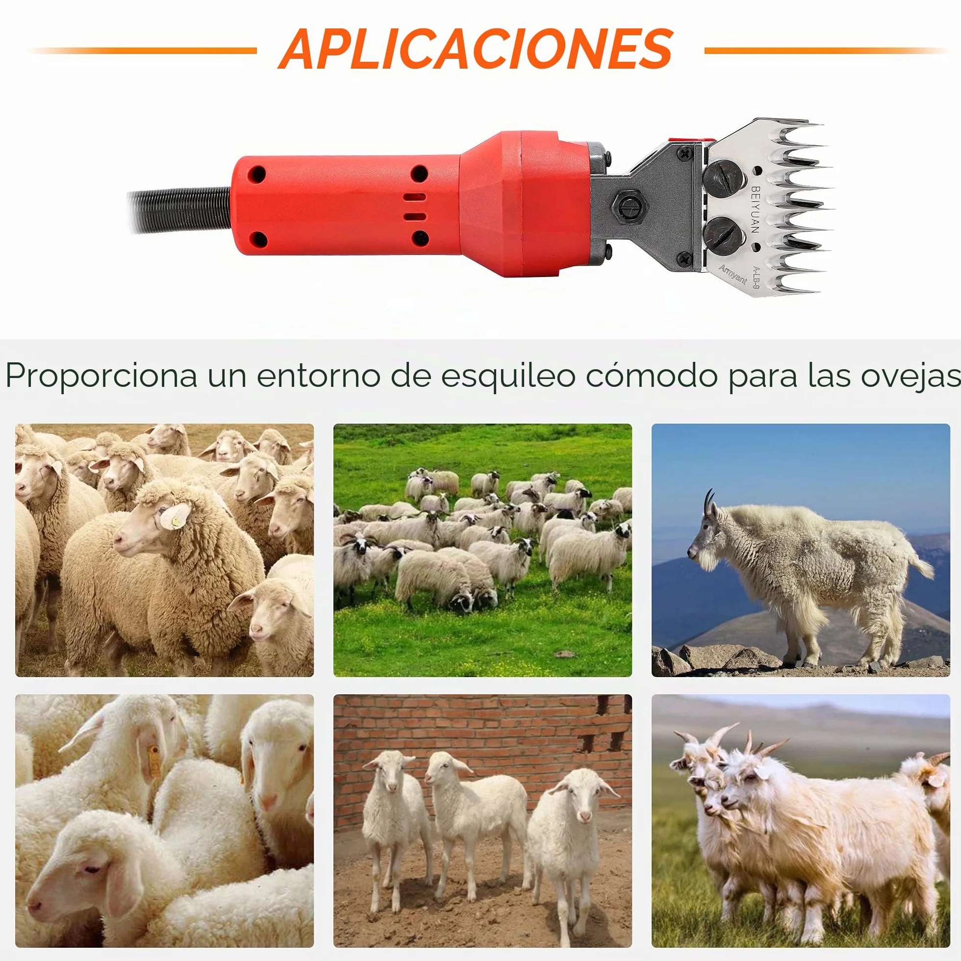 CGOLDENWALL Máquina De Esquilar Eléctrica 750w, Motor De Cobre De Alta Rendimiento 2400rpm, 4 Tipos De Cuchillas (Rectas 9&13/Curvas 9&13) Para Oveja, Cabra, Caballo, Ternera, Alpaca, Camello