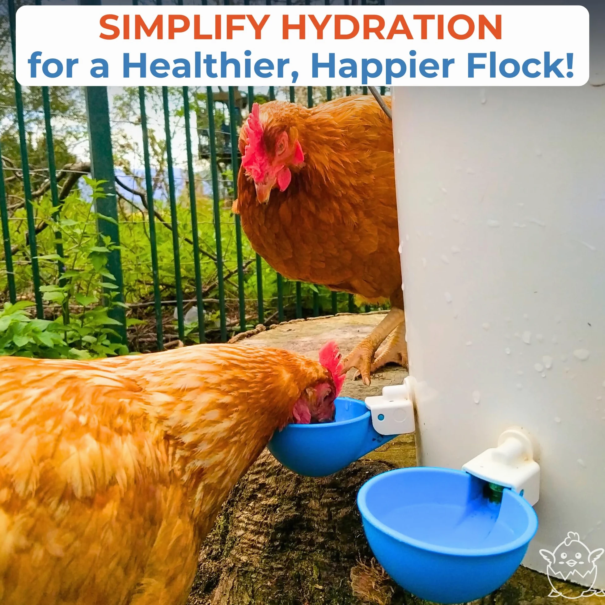 Lil Clucker - Juego de 5 Tazas de Agua automáticas Grandes para Pollos, Patos, Gansos, Pavos y Conejos, Color Azul