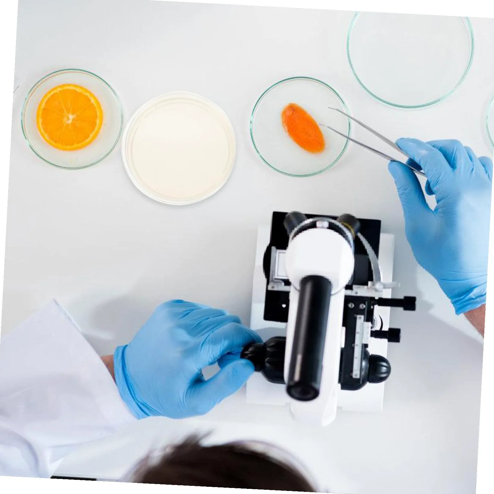 Placas de Petri de Agar Pre-vertido 10piezas 9cm Lb para Aislamiento | Suministros para Experimentos, Placas de Agar para Laboratorio, Decoracion Colegio