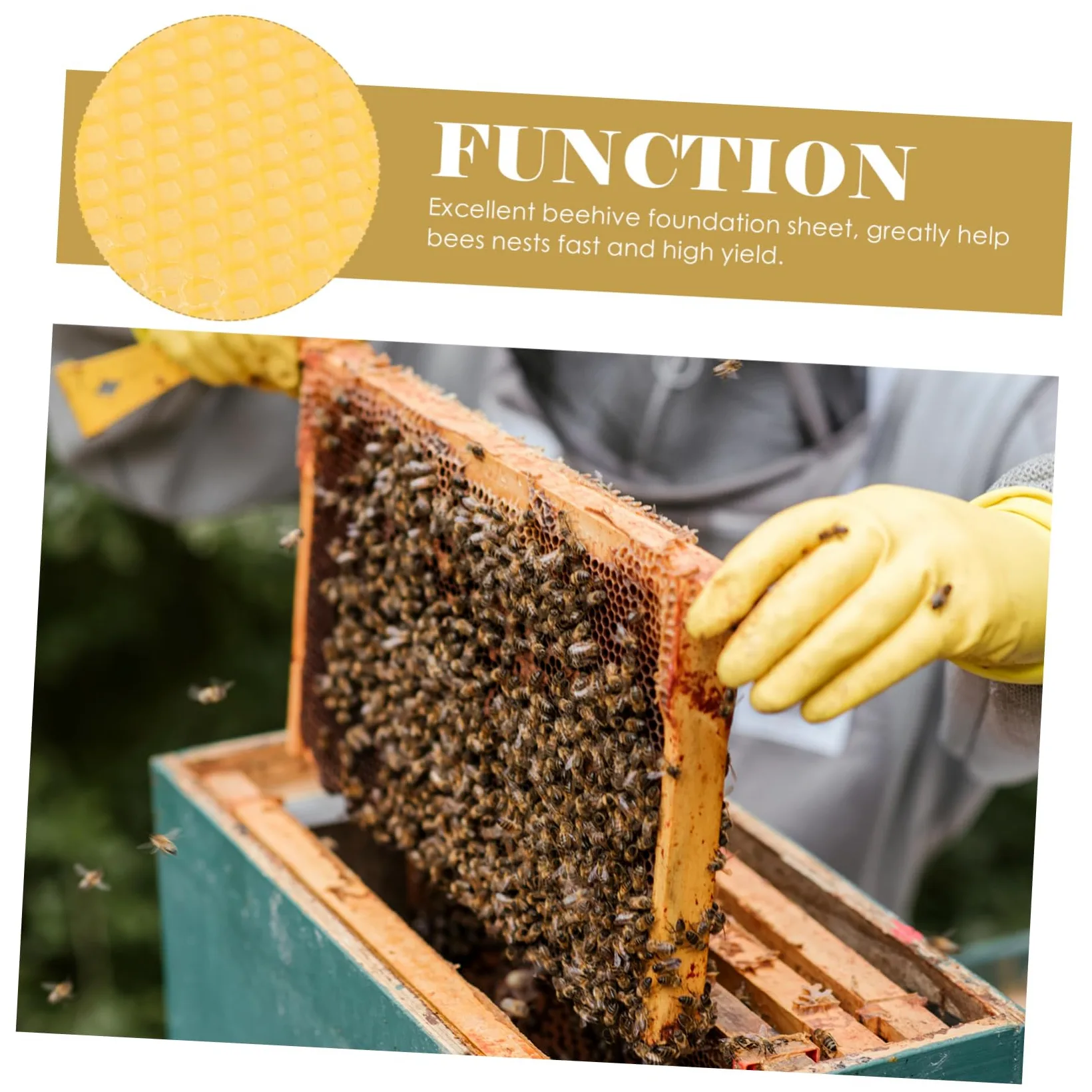 Lámina de Base Encerada para Colmena 30 Piezas de Cera de Abeja | Amarillo, Reutilizable Aroma Suave, Firmeza Media, Base para Apicultura y Panal