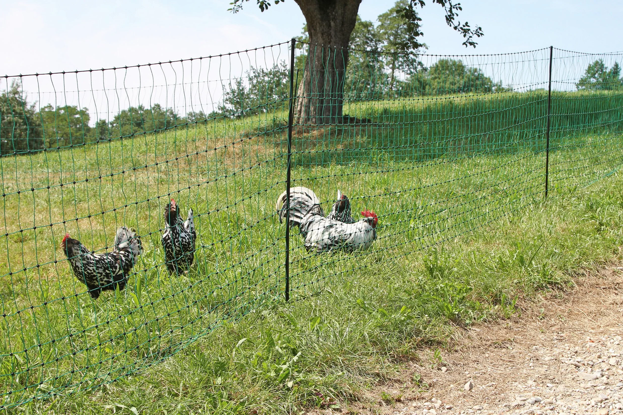 Kerbl Hobbyfarming PoultryNet, 106cm, 25m, Red para Aves de Corral, Red para Cerca eléctrica, Doble Punta, Verde, 8 Postes, para Pollos, Gansos y Pavos, 3 años de garantía de Estabilidad UV