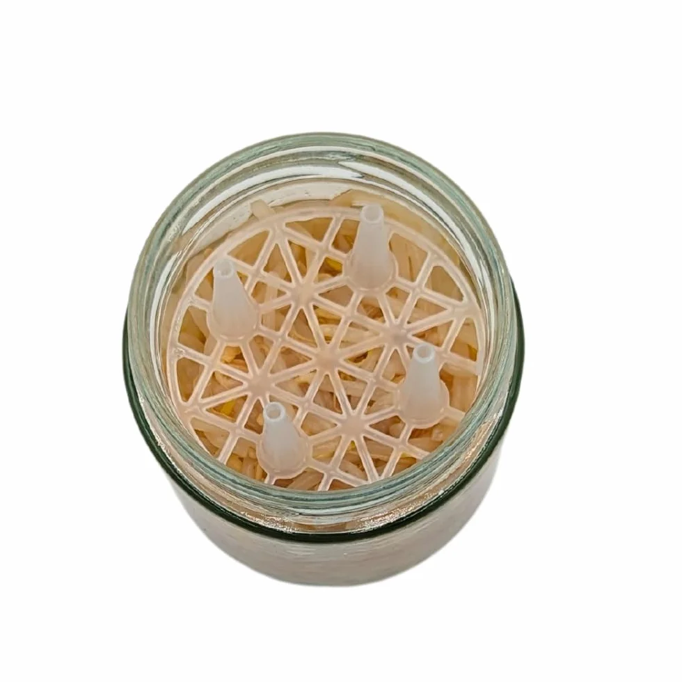 Juego de iniciación para fermentación 4 vasos 410 ml con tapa Blueseal, rejilla y apisonador de madera