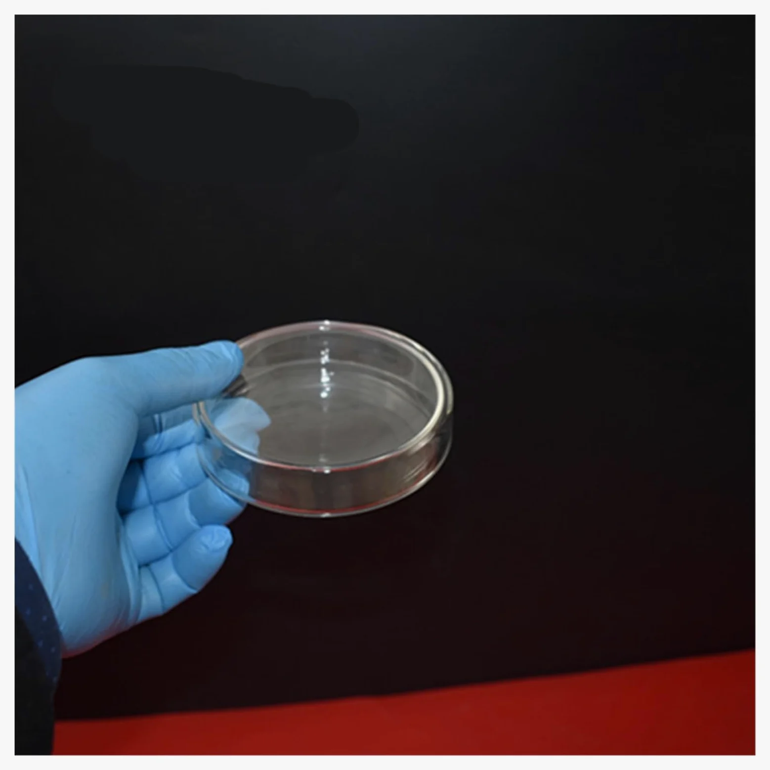 5 Unids/lote 75MM Placa De Petri De Vidrio De Alta Calidad For Placa De Laboratorio Diámetro De Levadura Bacteriana