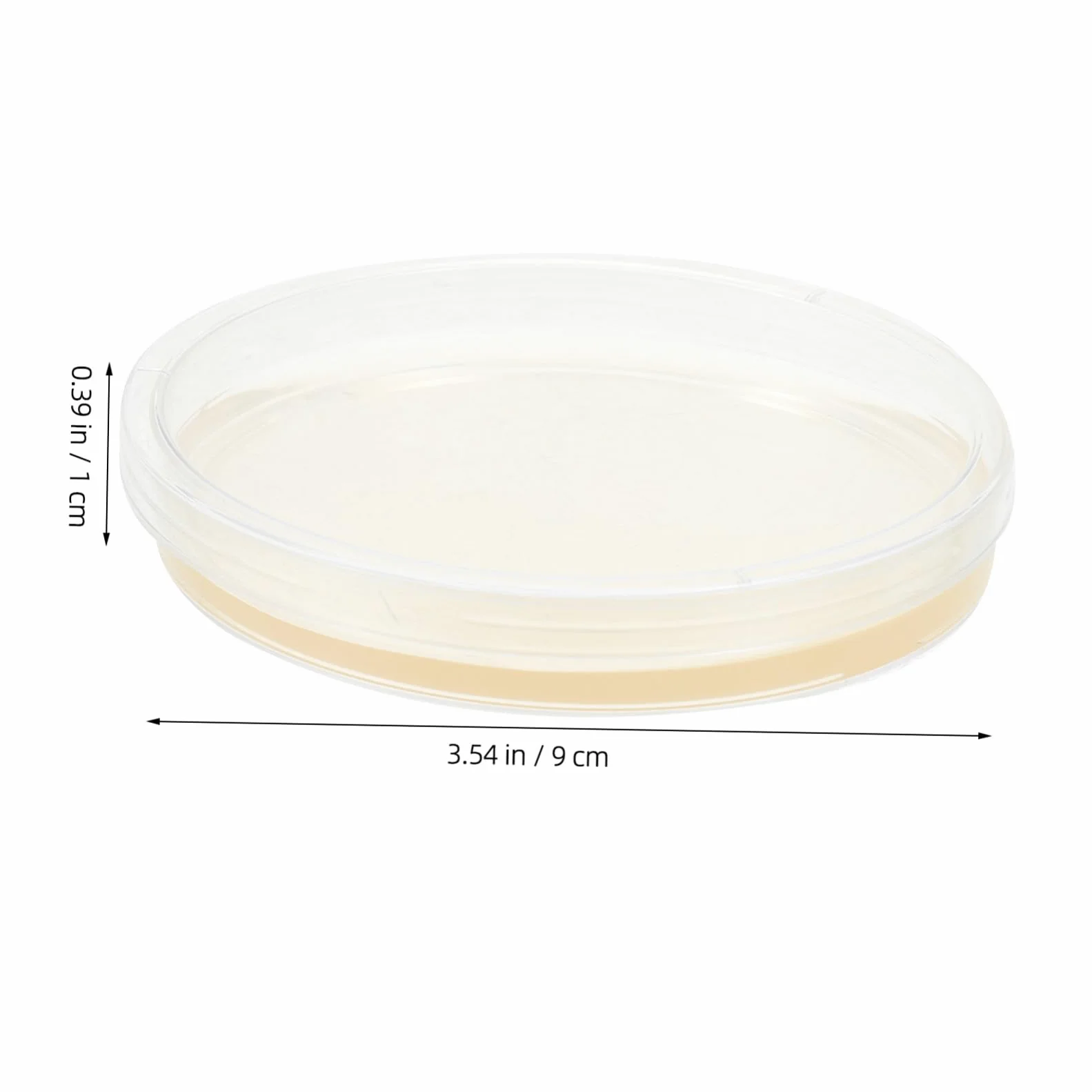 Placas de Petri de Agar Pre-vertido 10piezas 9cm Lb para Aislamiento | Suministros para Experimentos, Placas de Agar para Laboratorio, Decoracion Colegio