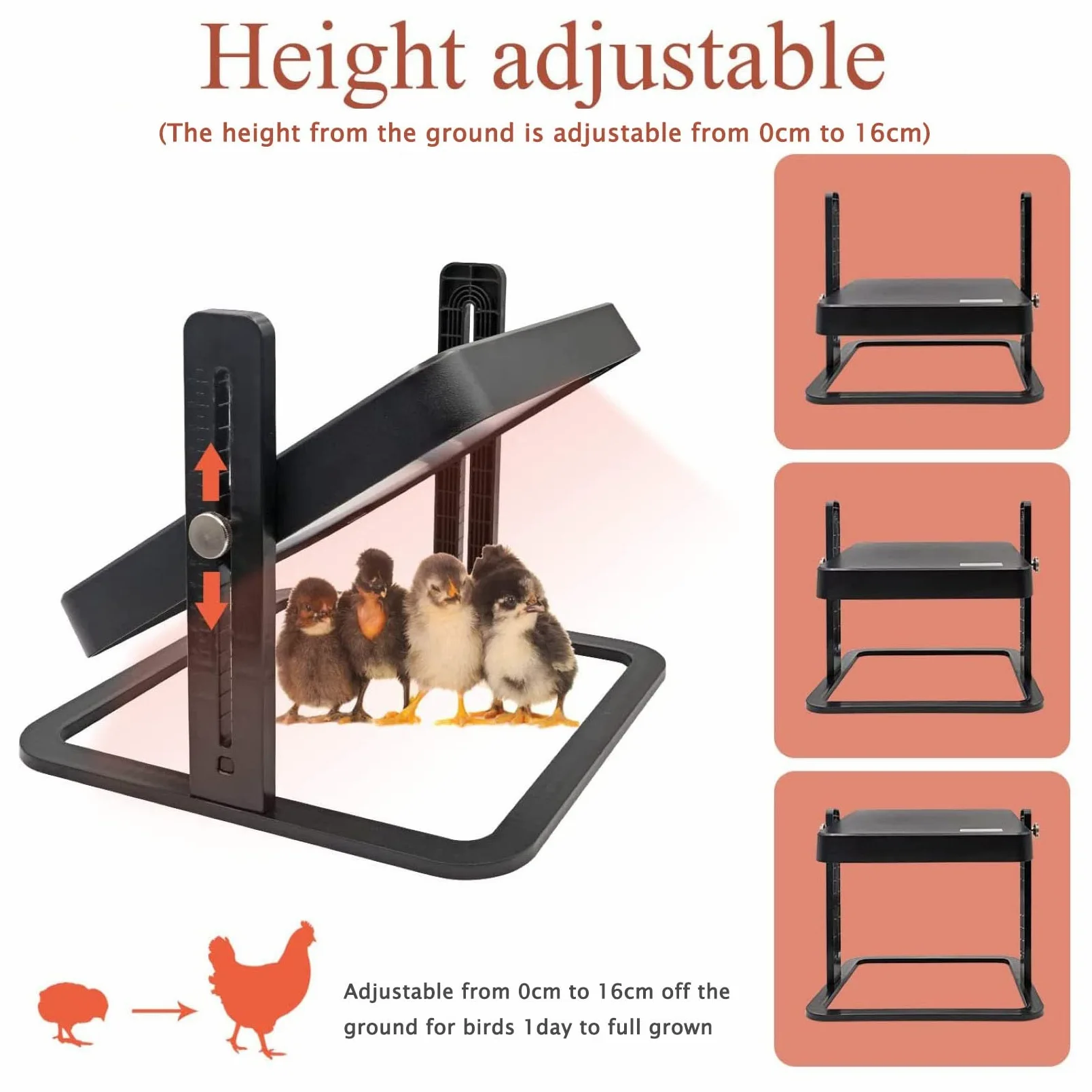 Criadero Pollitos Altura Ajustable,Placa Calefactora Mejorada para Mascotas Y Aves Corral,con Capacidad para 15 Pollitos para Incubar Patos,Pollitos Y Pájaros