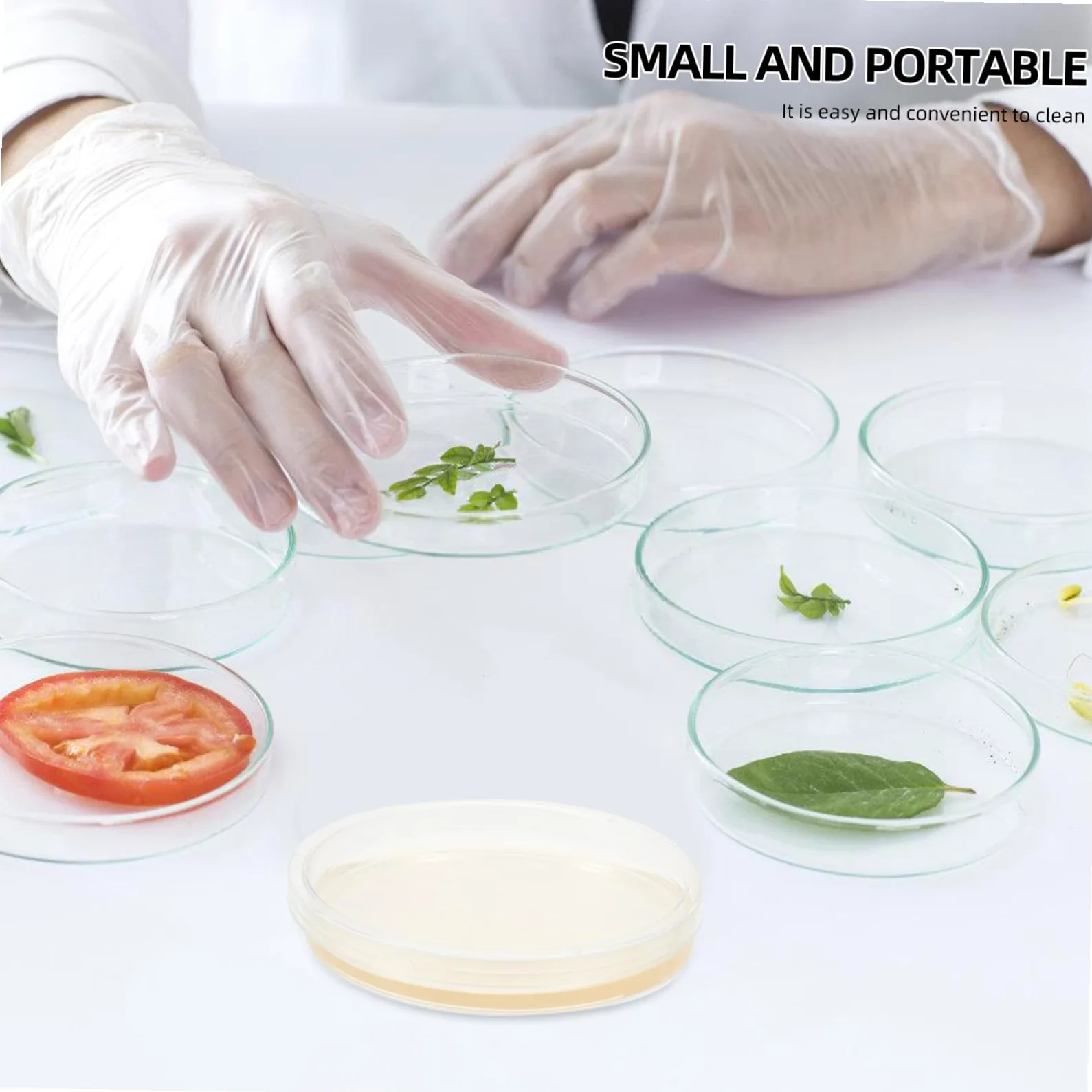 Placas de Petri de Agar Pre-vertido 10piezas 9cm Lb para Aislamiento | Suministros para Experimentos, Placas de Agar para Laboratorio, Decoracion Colegio