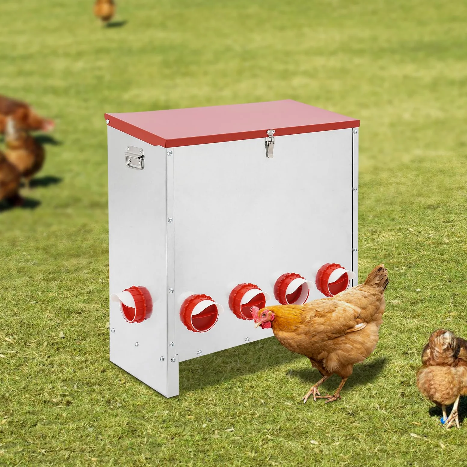 Comedero automático para pollos (10 hoyos), alimentador automático para pollos, sin bordes afilados, para 30 kg, comedero automático para patos, gansos y codornices