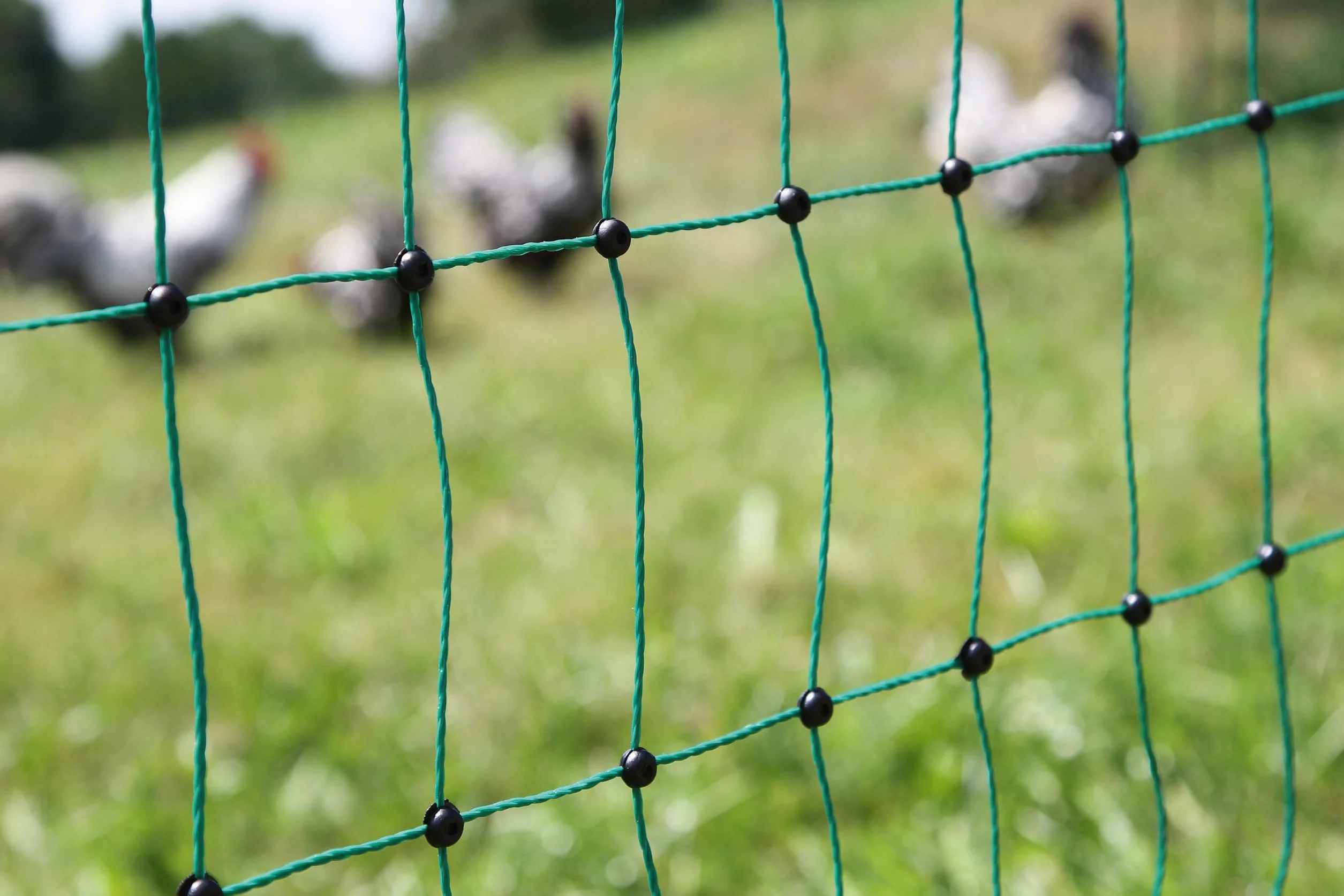 Kerbl Hobbyfarming PoultryNet, 106cm, 25m, Red para Aves de Corral, Red para Cerca eléctrica, Doble Punta, Verde, 8 Postes, para Pollos, Gansos y Pavos, 3 años de garantía de Estabilidad UV