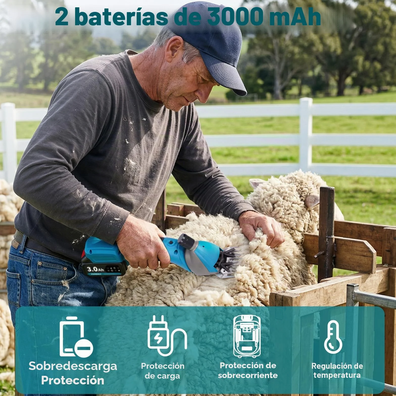 Yofidra Esquiladora de ovejas inalámbrica de 800 W - Esquiladora eléctrica con motor sin escobillas, 3000 RPM, 2 baterías de 3000 mAh, garra ajustable, ideal para ovejas, alpacas y cabras, azul