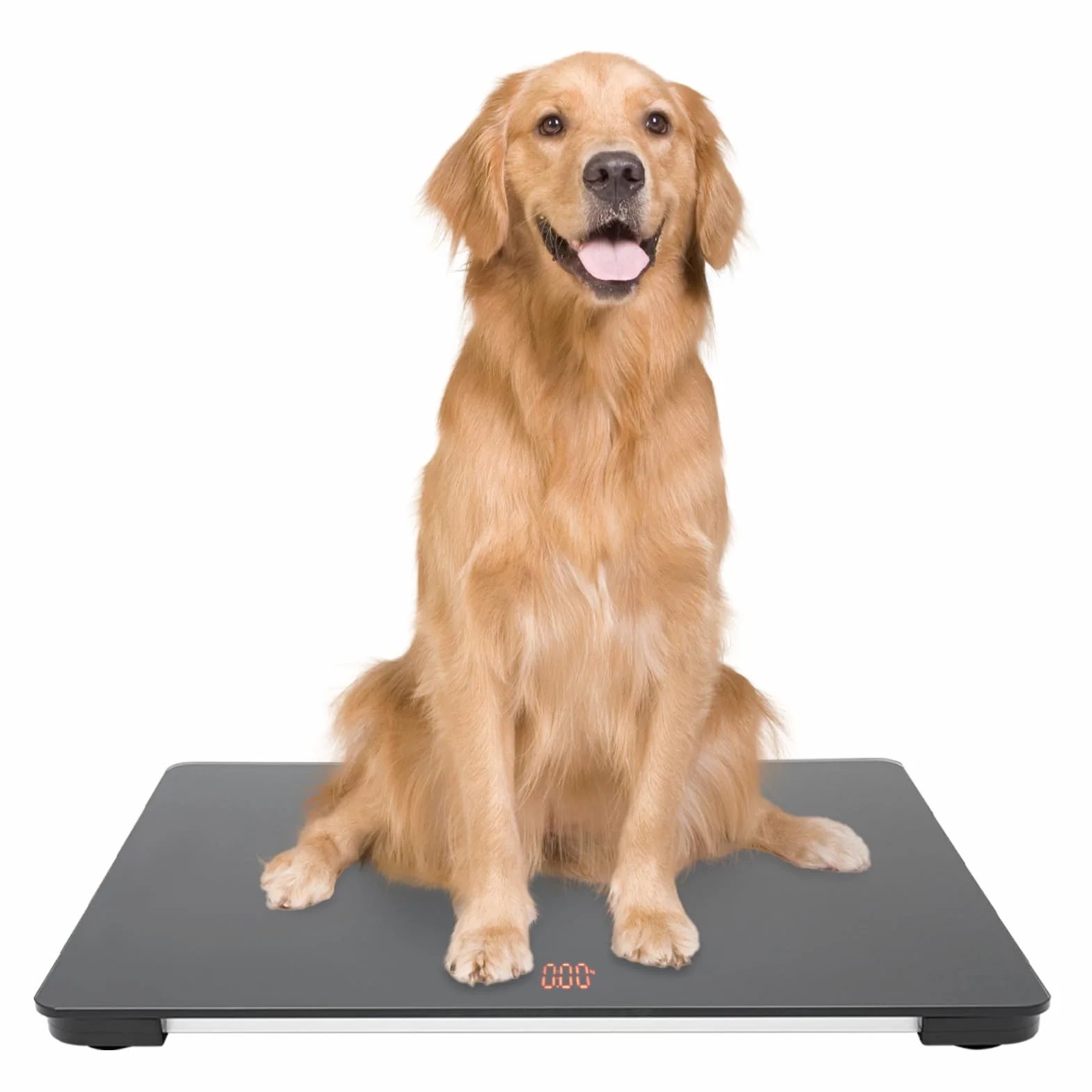 Báscula para perros, 65 x 45 cm, báscula de suelo, báscula de paquetes, báscula veterinaria, báscula de plataforma para perros grandes, 0,022 Lbs de error de alta precisión