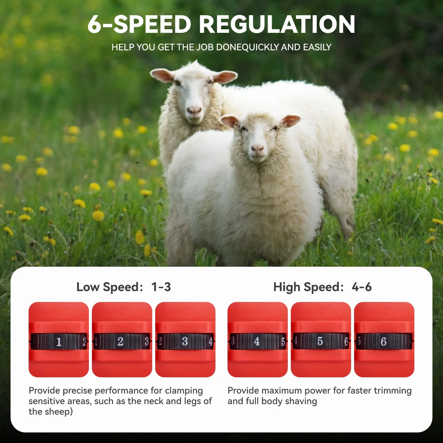 ONEVAN Esquiladora de ovejas, Cortapelos Para Ovejas de 500 W con 6 velocidades, 13 dientes, 2 baterías de 3.0 Ah, esquiladora inalámbrica para ovejas, alpacas (Rojo)