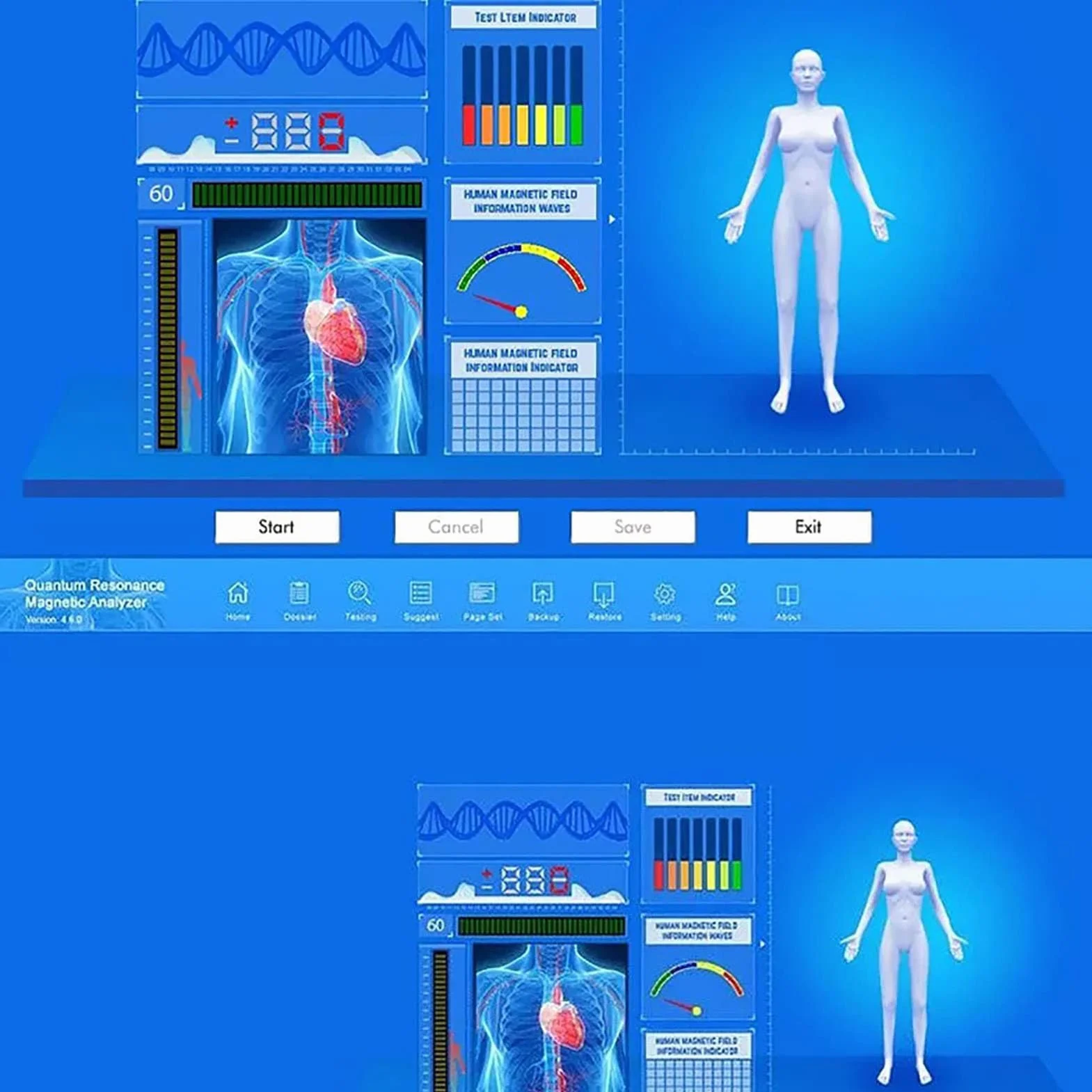 Analizador magnético de resonancia cuántica para Windows, herramienta de análisis de salud 3D para pruebas en el hogar, resultados de salud profesionales, dinámicos y fiables