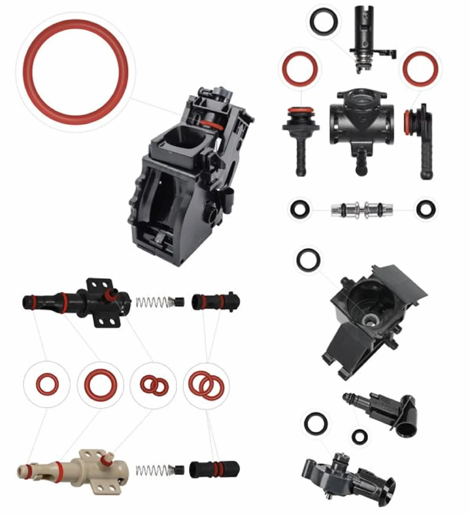 Junta Tórica do Válvula de Soporte Vapor y Salida para Phillips Saeco Spidem Gaggia Set 2
