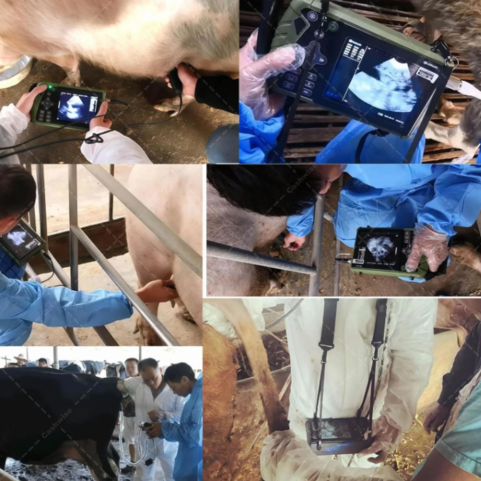 Ecógrafo Veterinario para Embarazo, escáner de ultrasonido B con sonda de 3,5 MHz para Perros, Gatos, Cabras y Cerdos