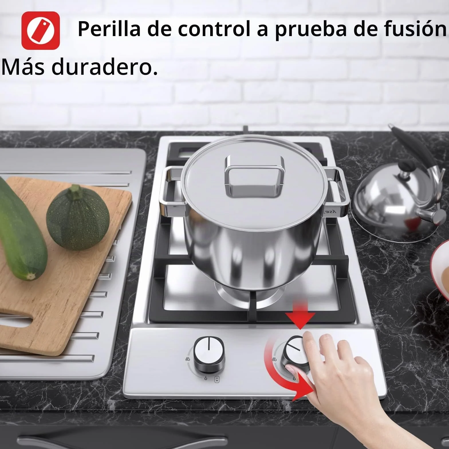 Placa de cocción a gas acero inoxidable encimera 2 fuegos