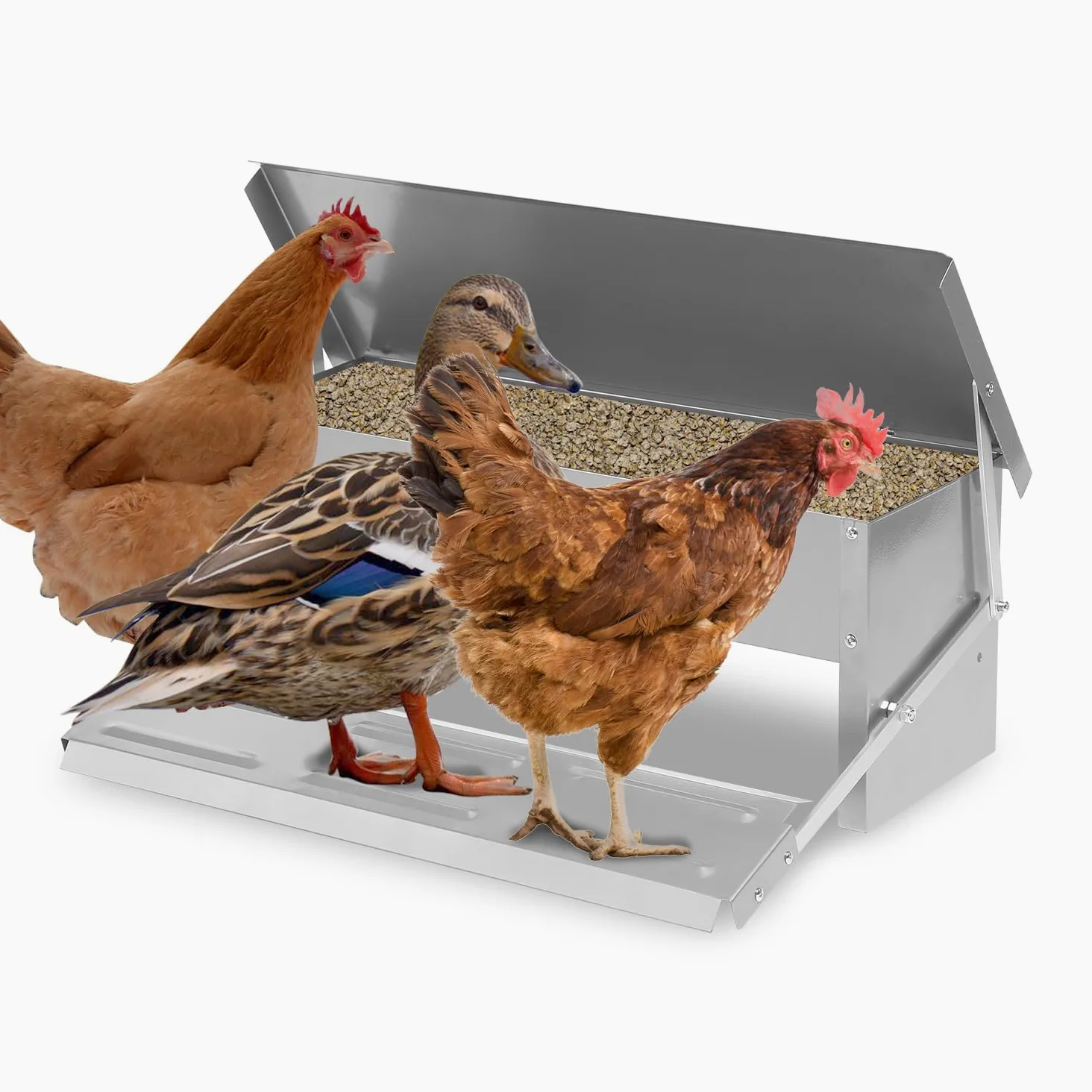 Randaco 3 comederos automáticos para pollos de acero galvanizado, 5 kg, comedero con pedal automático y manta resistente al agua