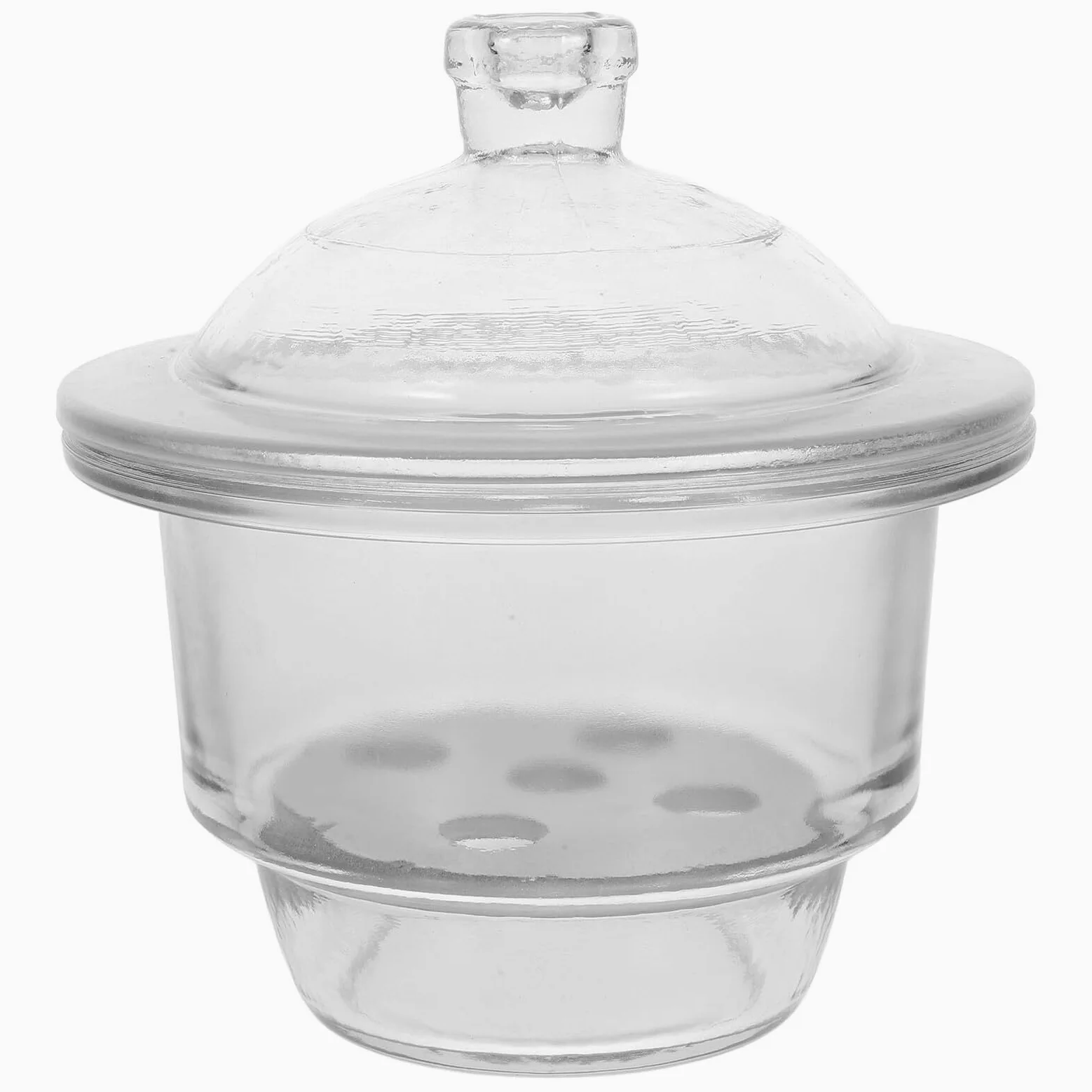 Mipcase 1 Botella Desecadora de Laboratorio Desecador de Vidrio para Laboratorio Superficie Lisa y Diseño Práctico para Uso en Escuelas y Científicos