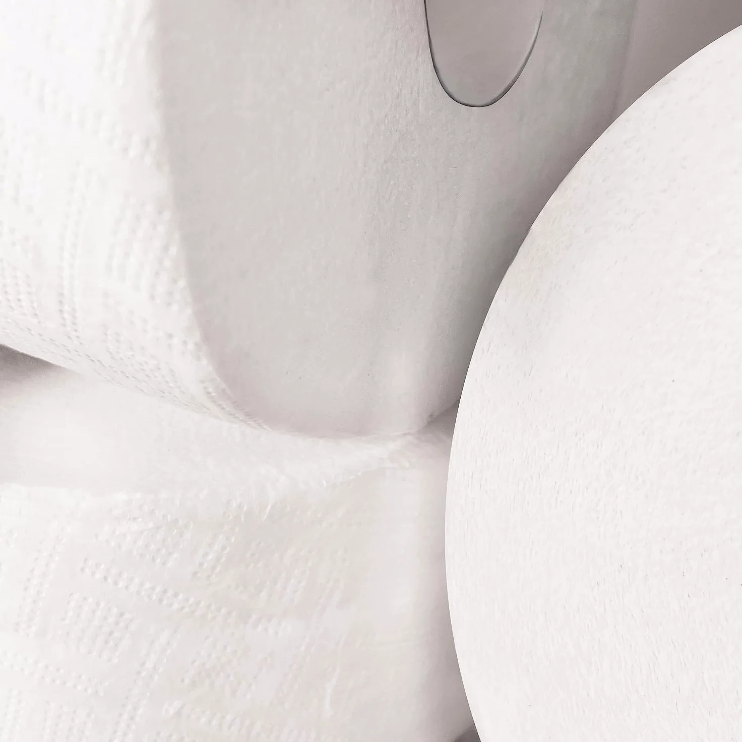 Papel Higiénico Industrial Doble Capa | Pack de 36 Uds. 100m/Rollo Papel higienico desechable y biodegadable.