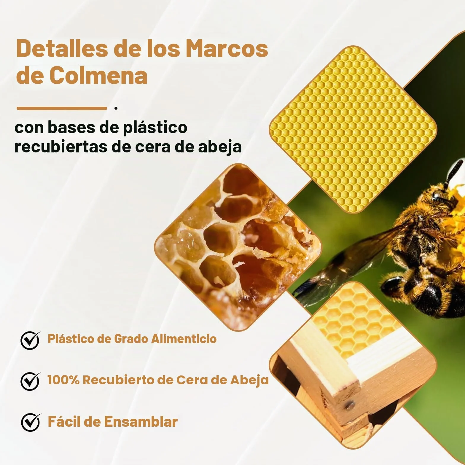 Set de inicio de colmena, caja de enjambre con 10 panales medianos, colmena de madera maciza con marcos de madera y base encerada, caja de colmena sostenible para apicultura, colmena con ventanas