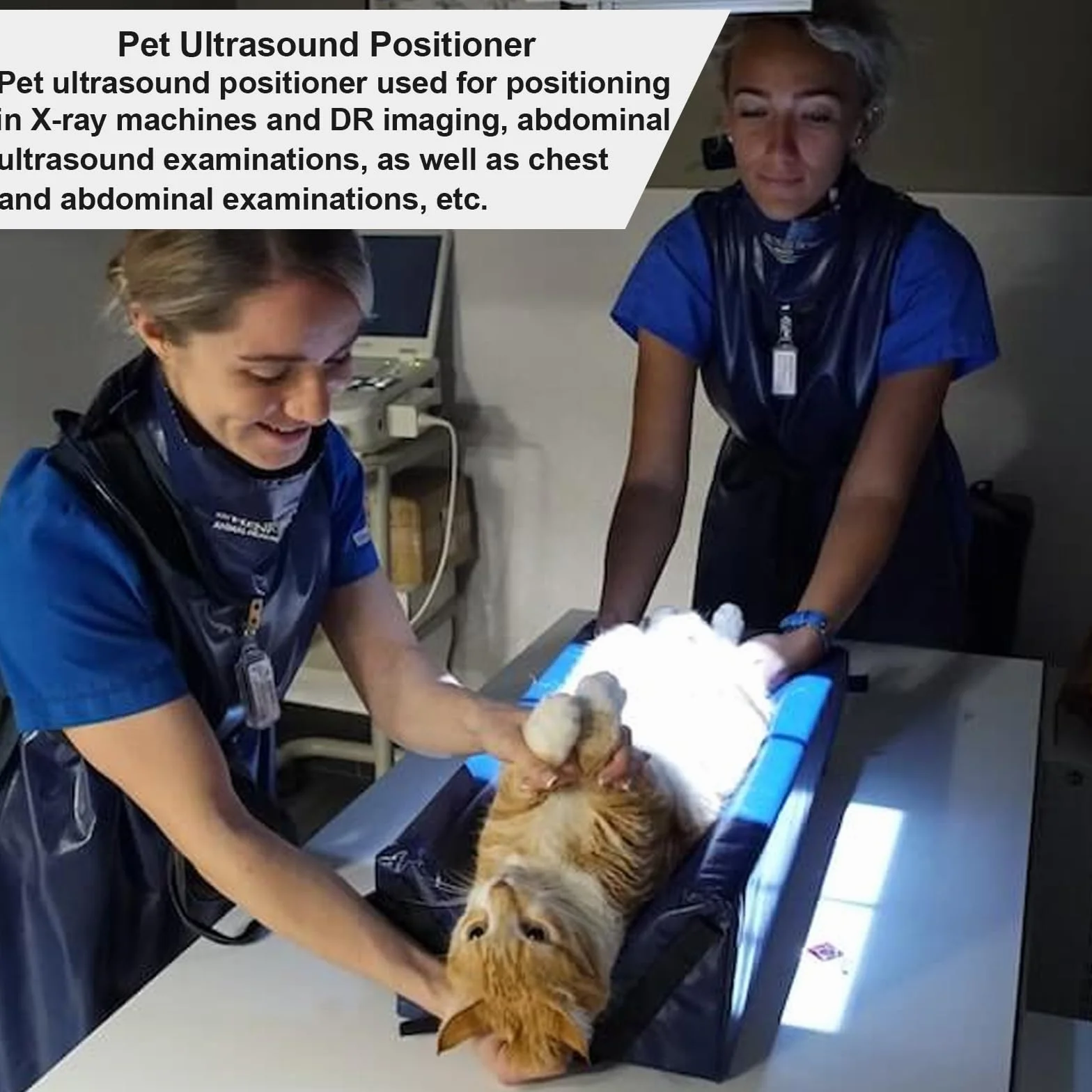 Posicionador de ultrasonido para mascotas – Cuña inmovilizador de rayos X veterinaria, comederos en forma de V, suministros de diagnóstico abdominal para gatos y perros (largo x ancho x 9 pulgadas de
