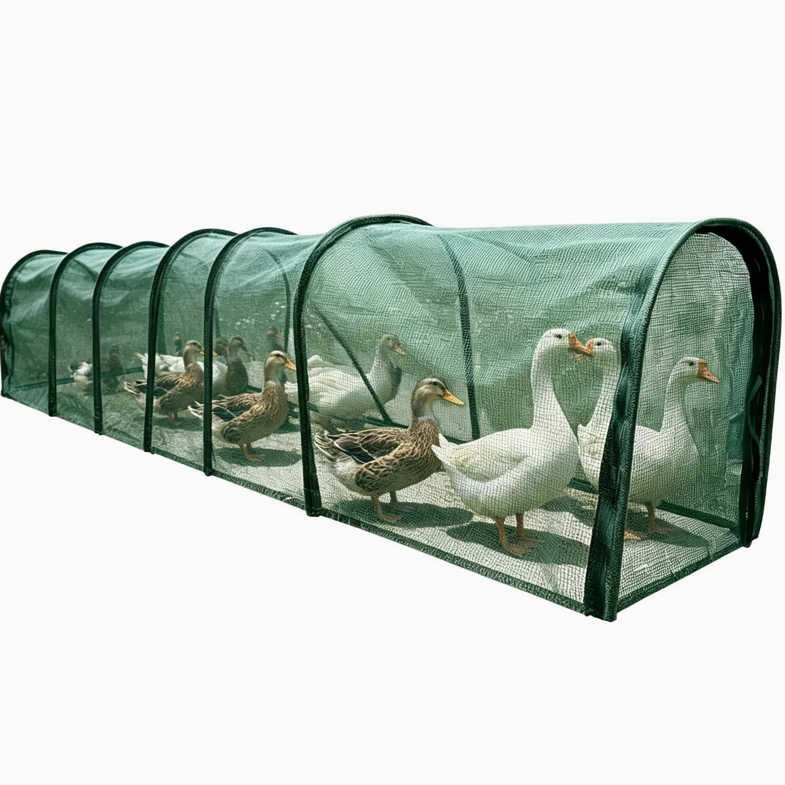 es Exteriores Gallinas Caseta Puerta Larga Plegable Desmontable | Tractor Corral de Gallinas para Pato Conejo Aves Interior Exterior Jardín Patio Granja Césped