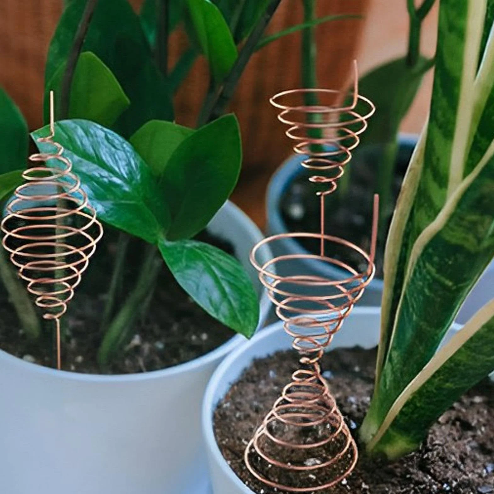 Bobina Lakhovsky Oscilador Fibonacci Electrocultura Jardinería Cobre Antena Jardín