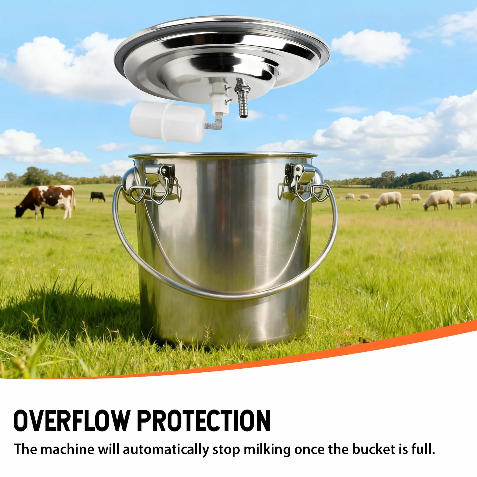 Máquina de ordeño eléctrica para ovejas y cabras, trayeuse de 5L con bomba de vacío, cubo de acero inoxidable, equipo de ordeño por pulsación para ovejas y cabras