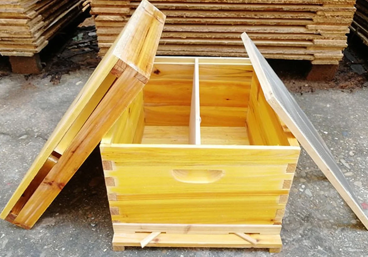 Kit de Colmena de Abejas de Madera 10 Marcos con Caja Profunda Madera de, Colmena de abejas melíferas - Ideal para Principiantes y Apicultores Profesionales - Fabricación Sostenible y Duradera