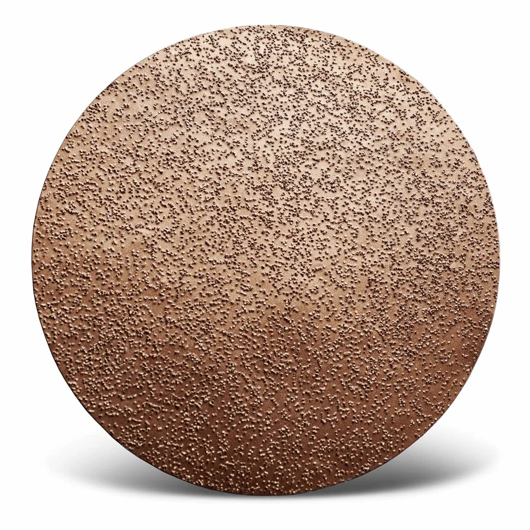 MENZER Carbide disco abrasivo de carburo con cierre adhesivo, 225 mm, p. Lijadoras de pared, Metal de carburo (1 pz.), grueso (G14)