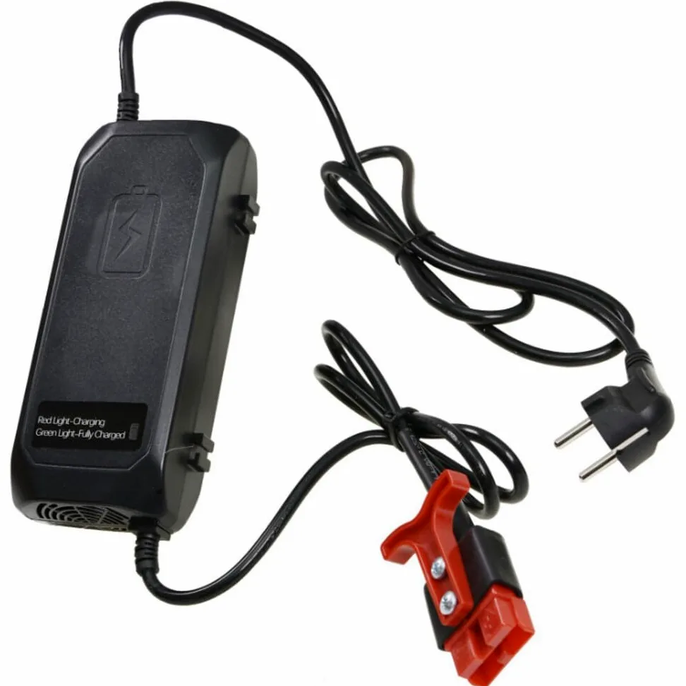 JAZGOT Cargador para transpaleta F4, 24V 5A. Modelo ESCH24V5A-G. Tensión de alimentación del rectificador: 185-240 V CA, 50-60 Hz 1,8 A.