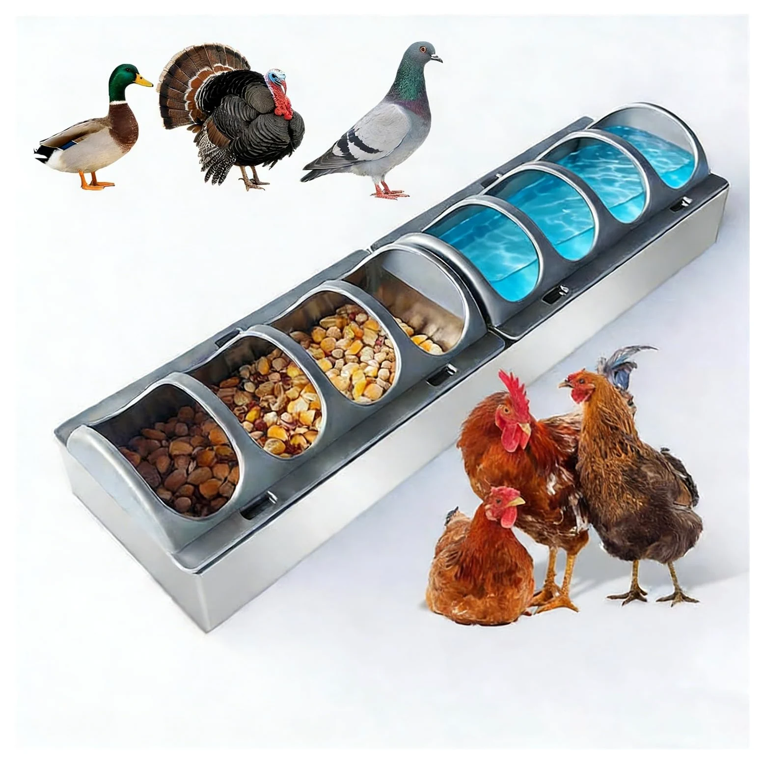Comedero y bebedero para pollo, 8 ranuras, dispensador multifuncional para uso en el suelo, recipiente de acero inoxidable