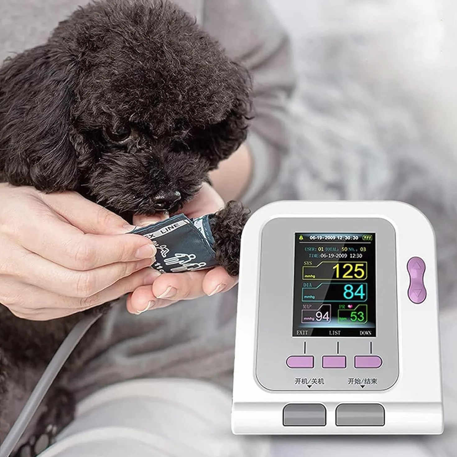 Ensiómetro Veterinario, Monitor de Presión Arterial Veterinario Digital, Esfigmomanom Electrónico de Medición Automática con 3 Puños, Equipo Veterinario de Escritorio para Perros / Gatos / Mascotas Cu