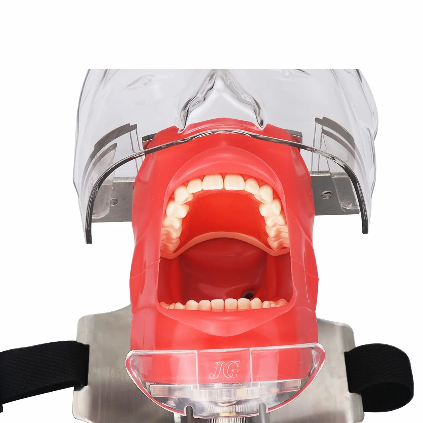 Modelo manual dental de la cabeza del fantasma del simulador del maniquí para el reposacabezas dental de la silla