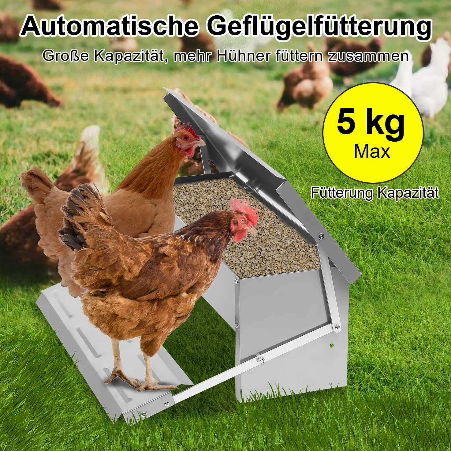 Randaco 3 comederos automáticos para pollos de acero galvanizado, 5 kg, comedero con pedal automático y manta resistente al agua