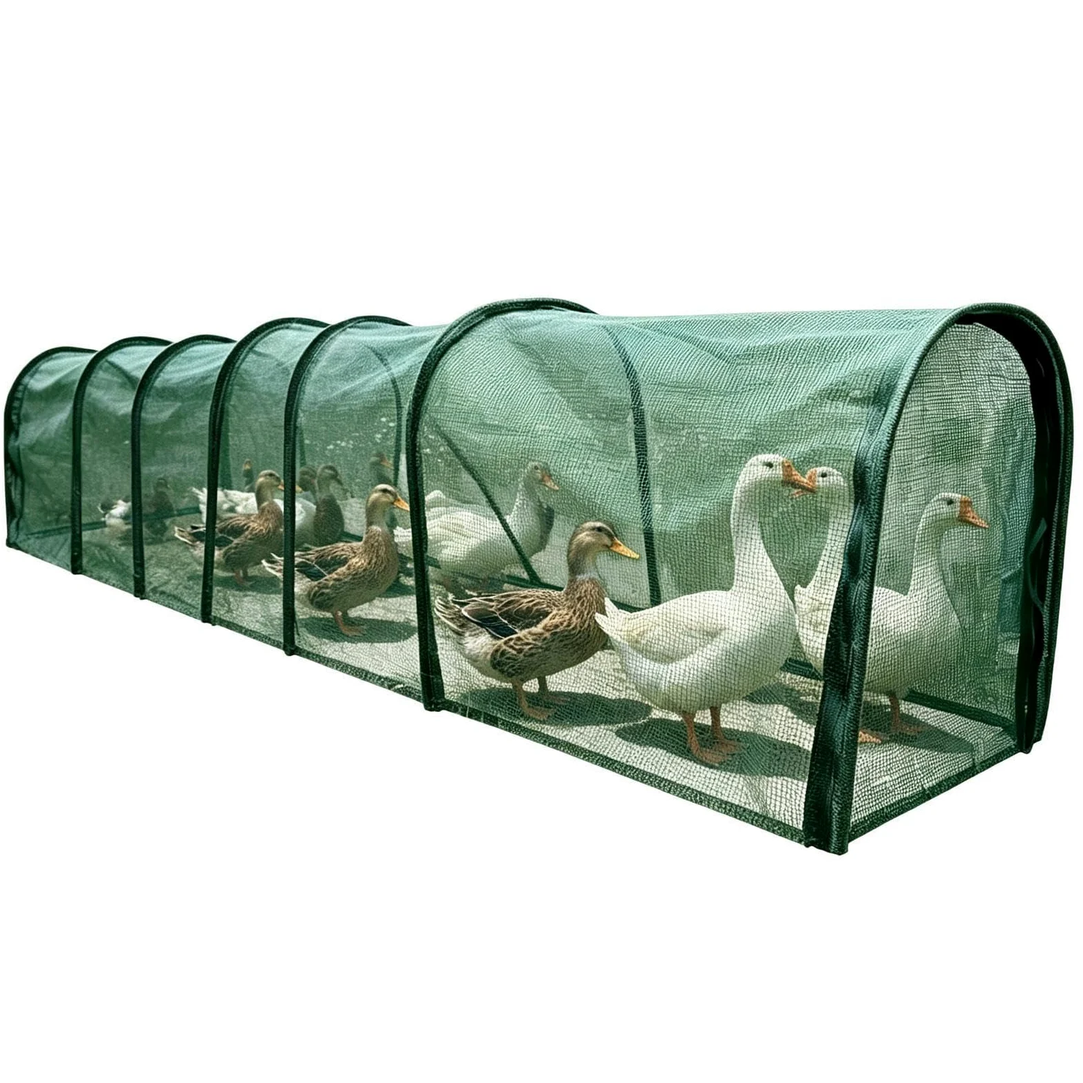 Gallinero con Corral Caseta Puerta Larga Plegable Desmontable | Túneles de Corral al Aire Libre para Aves Para Aves de Corral, Patos, Conejos, Pájaros, Interior, Exterior, Jardín, Granja,