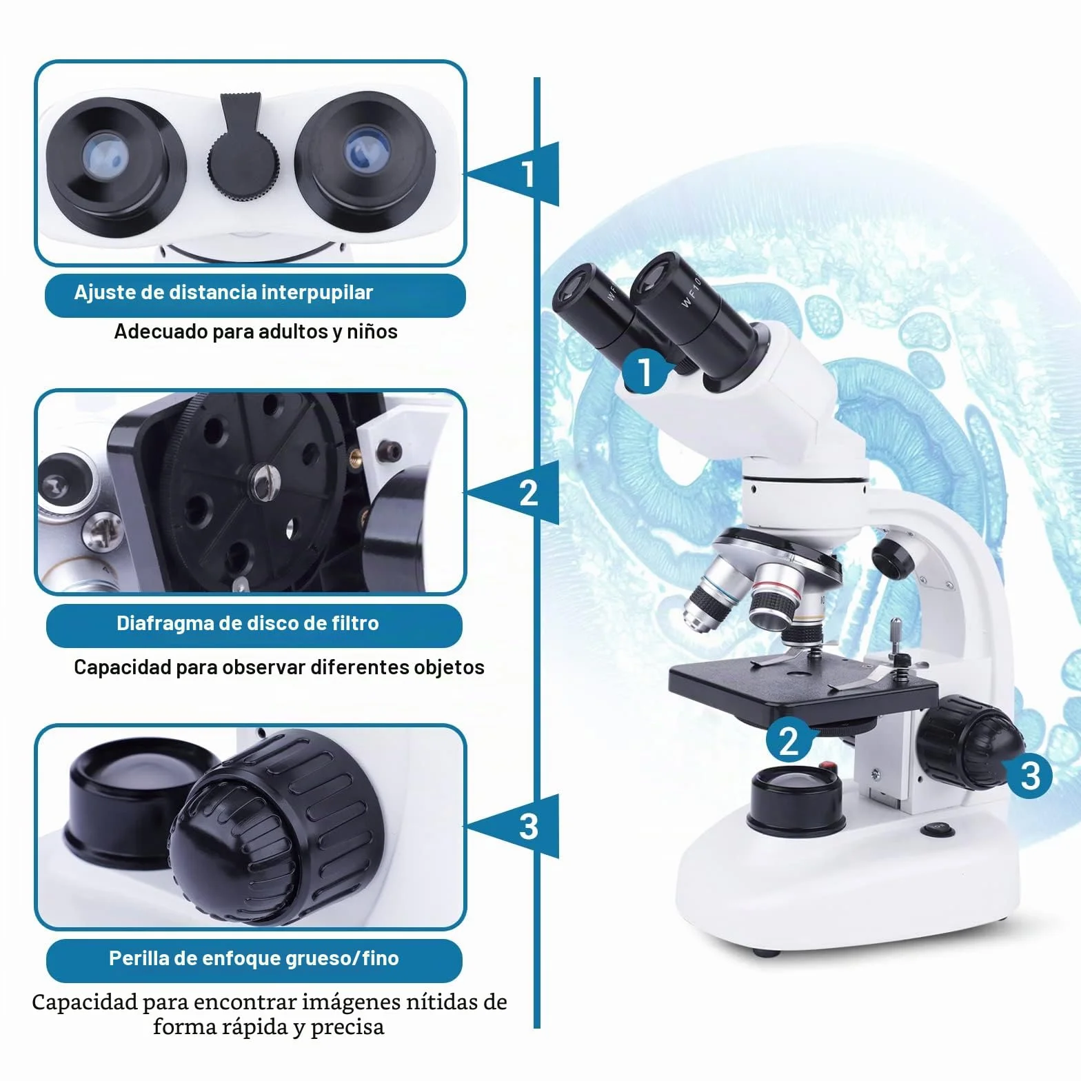 MAXLAPTER Microscopio Binocular para Adultos y Niños - Juego de Microscopio Compuesto 40X-1000X con Muestras y Adaptador de Teléfono Móvil, Adecuado para Uso Escolar en Casa