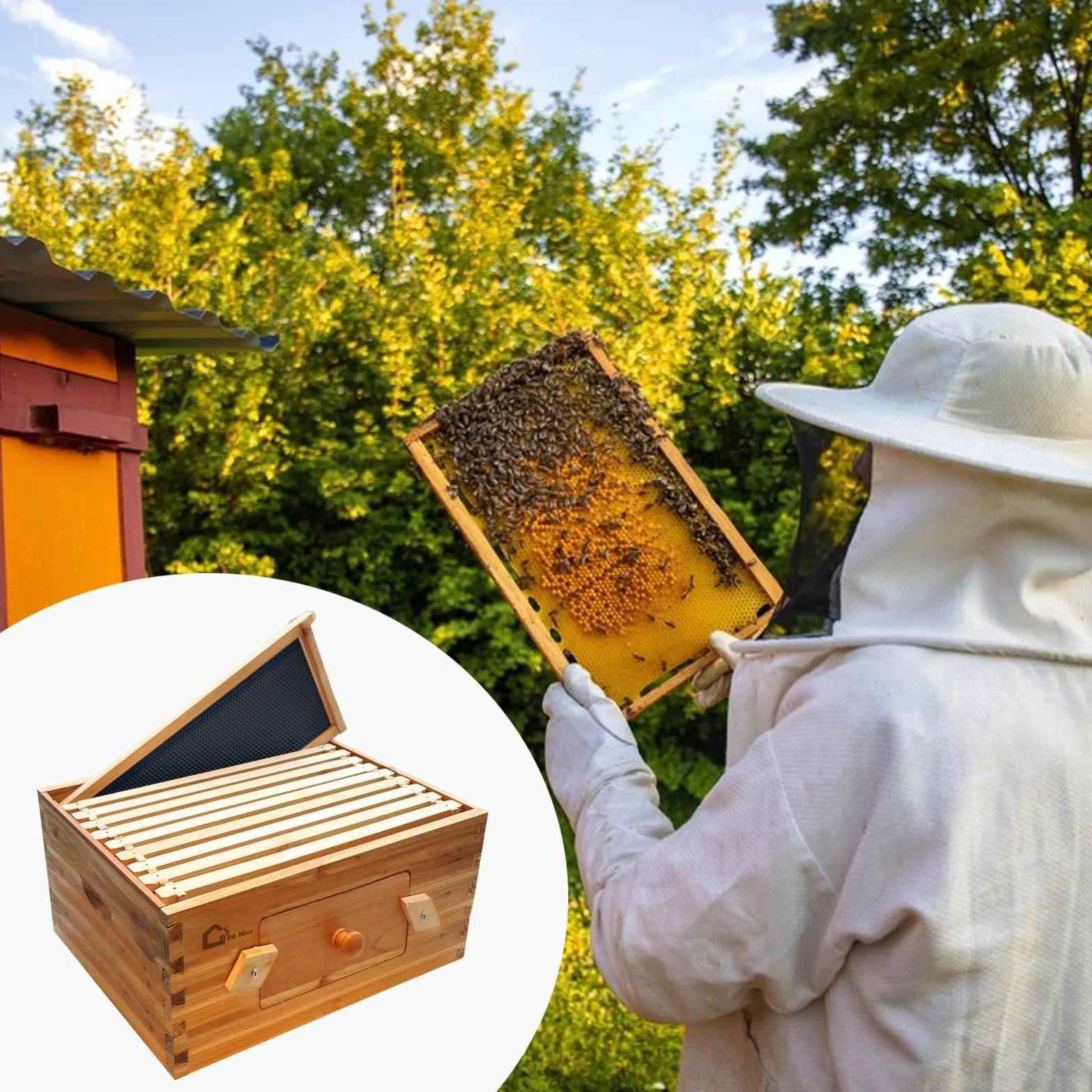Juego de iniciación de colmena, caja de almacenamiento con 10 panales profundos, botín de madera maciza con marco de madera y base encerada, caja de colmenas, suministros sostenibles para apicultura