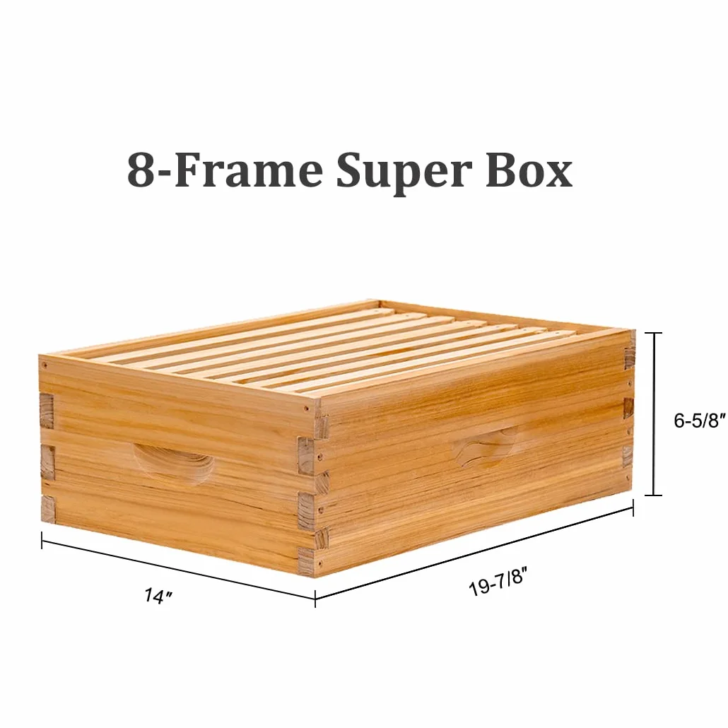 BeeCastle Colmena de abeja Langstroth de 8 marcos recubierta con cera de abejas, incluye marcos de colmena y bases enceradas (1 caja profunda y 1 caja mediana)
