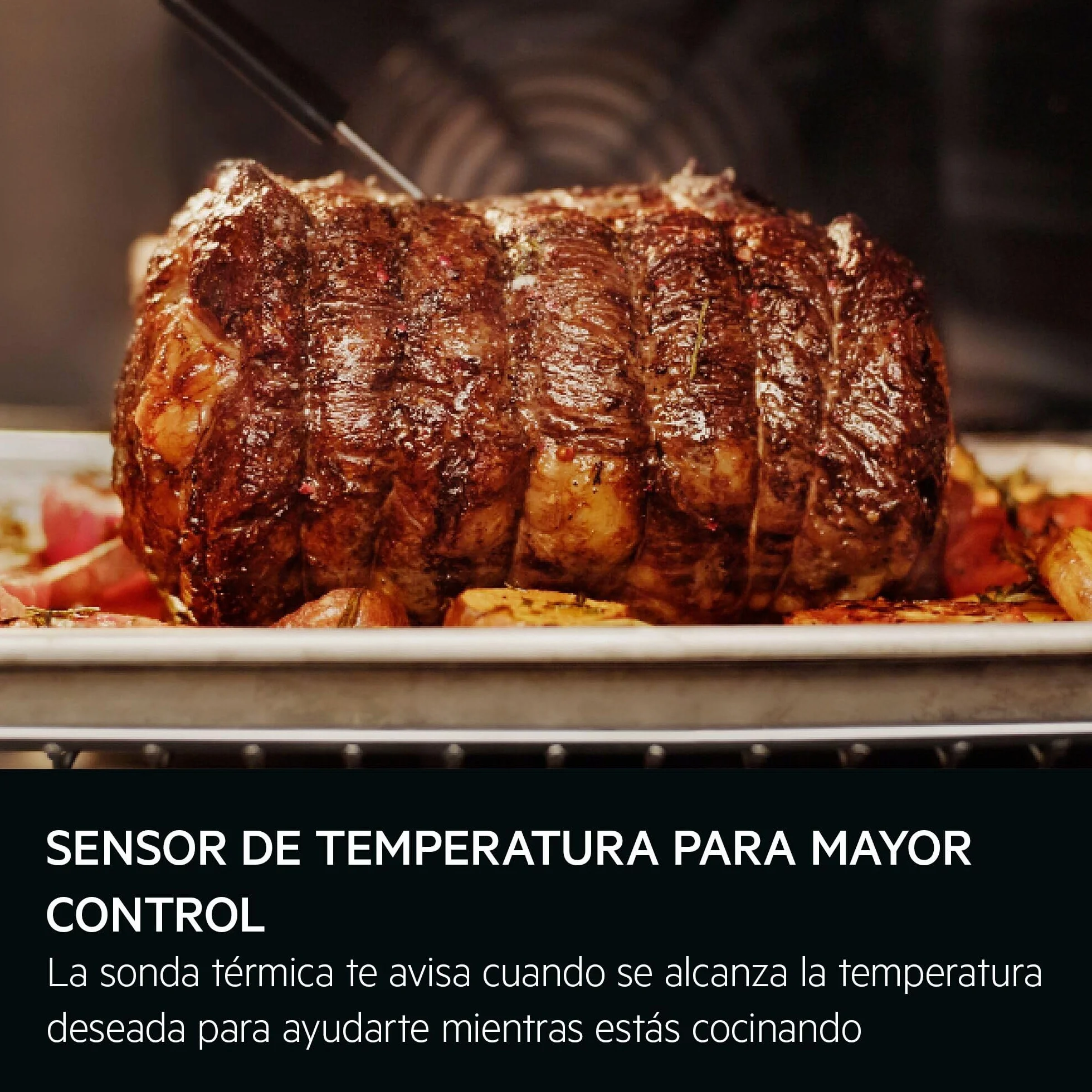 AEG Horno Multifunción TP9SB831AB 70L Limpieza a Vapor 25 Funciones Sonda Térmica Cocción a Vapor Pantalla Táctil WiFi Negro