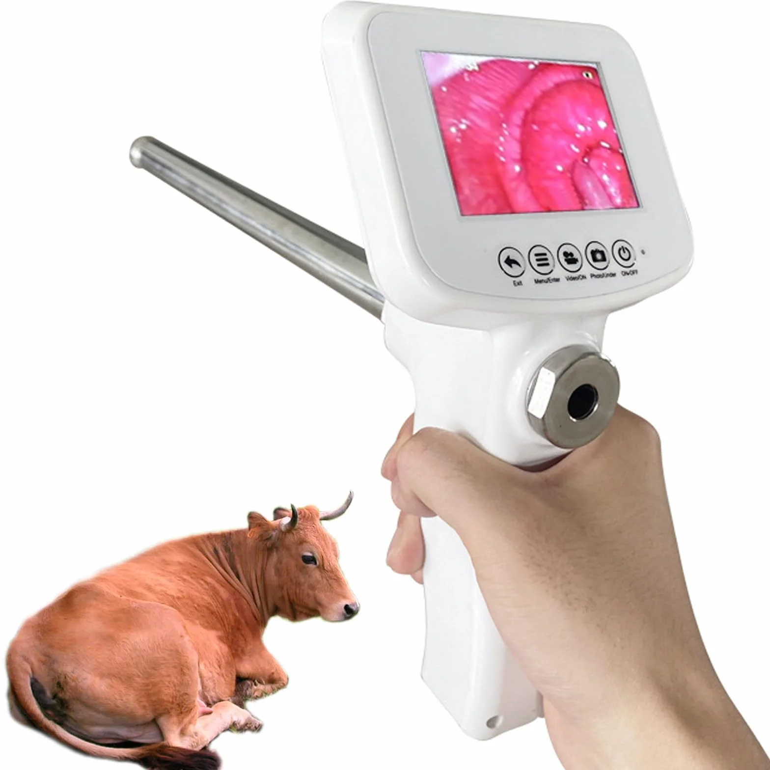 Kit Profesional De Inseminación Artificial con IA para Bovinos - Pistola De Inseminación Visual Y Herramientas Veterinarias para Una Cría óptima del Ganado