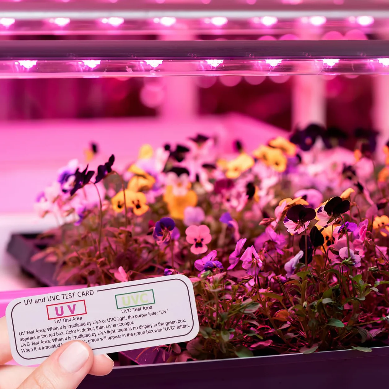 Cabilock 25 Tarjetas De Prueba UV UVC-UVA Indicadores Luz Ultravioleta 2.75x0.98x0.19in