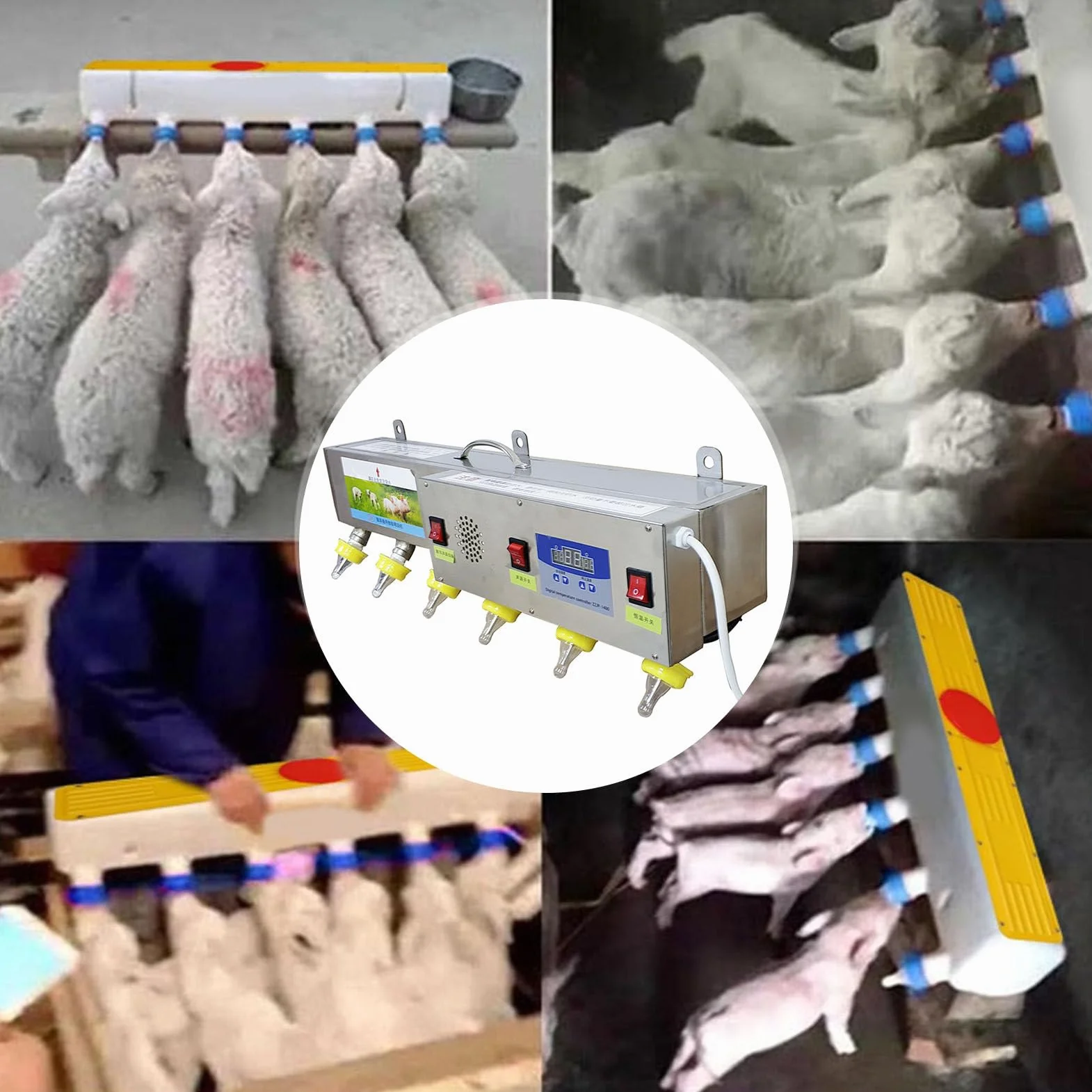 Comedero automático para corderos, cubo multifuncional de pared con 6 tetinas para leche de ganado, ideal para la lactancia de corderos.